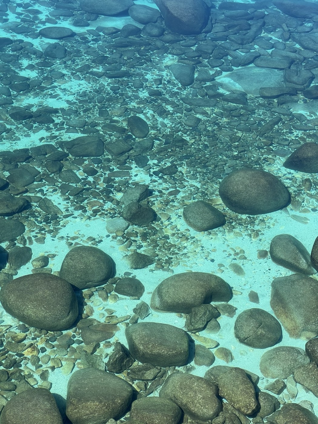 Crystal clear Lake Tahoe water and rocks